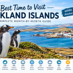 best time to visit Falkland Islands