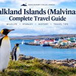 falkland-islands-malvinas-travel-guide