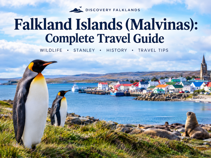 falkland-islands-malvinas-travel-guide